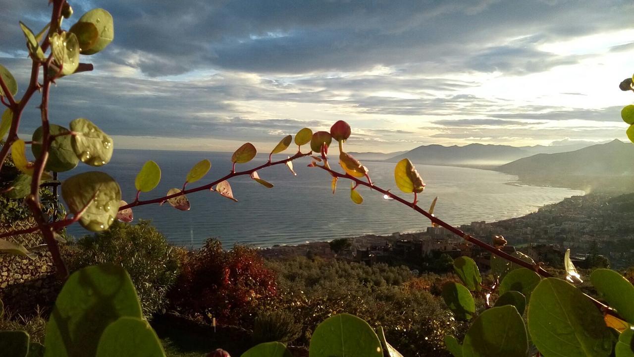 La Rosa Dei Venti Hotel Finale Ligure Bagian luar foto